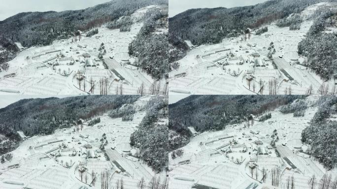 盘前村高山蔬菜基地冬季雪景风光4K航拍