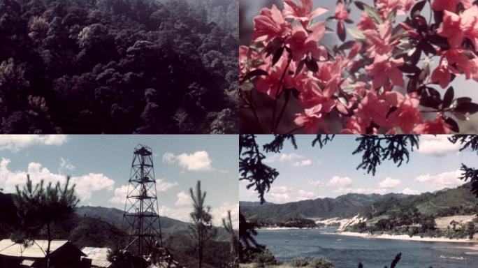 福建厦门武夷山自然风光50年代
