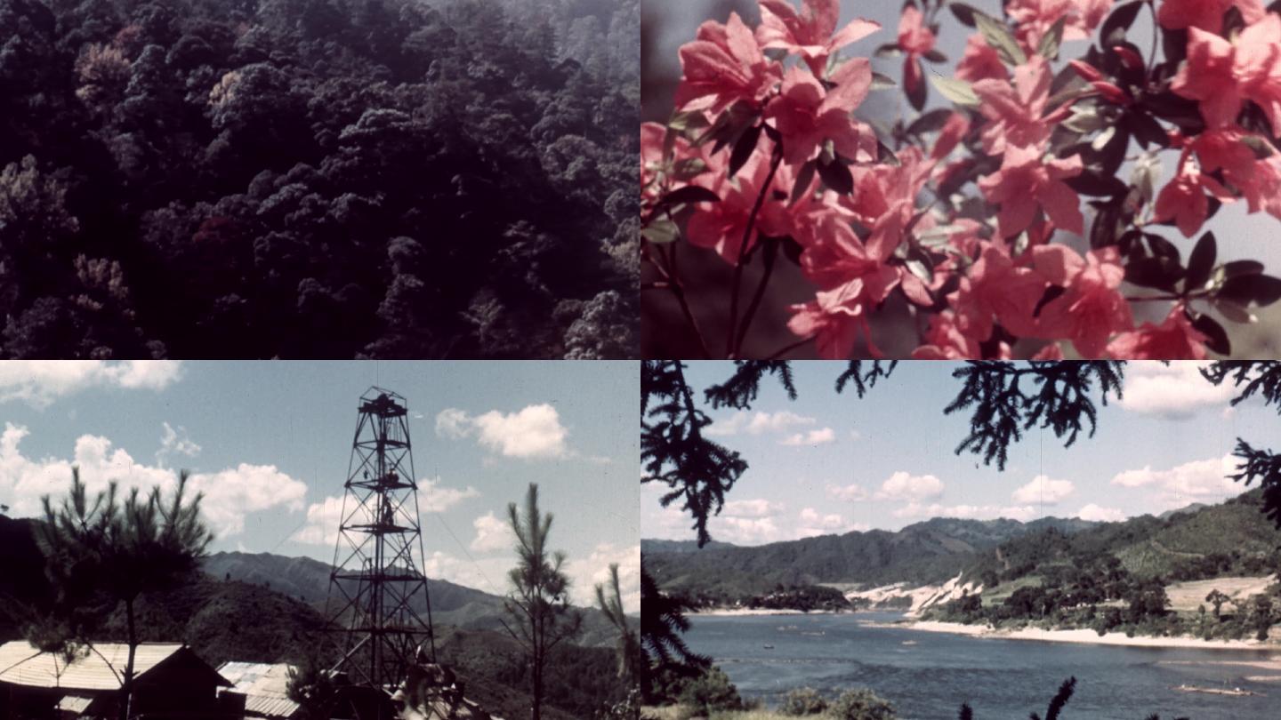 福建厦门武夷山自然风光50年代