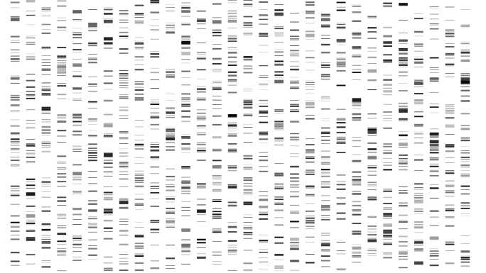 基因组数据可视化