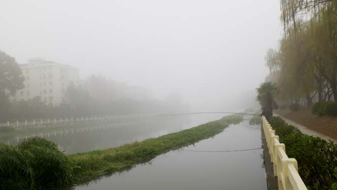 大雾 钓鱼 河边 水
