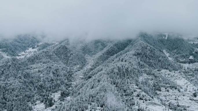 大山雪景 农村雪景 贵州的第一场雪