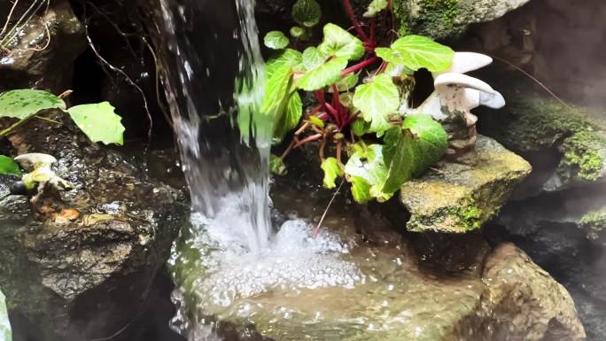 一座水池假山景观的流水慢动作视频