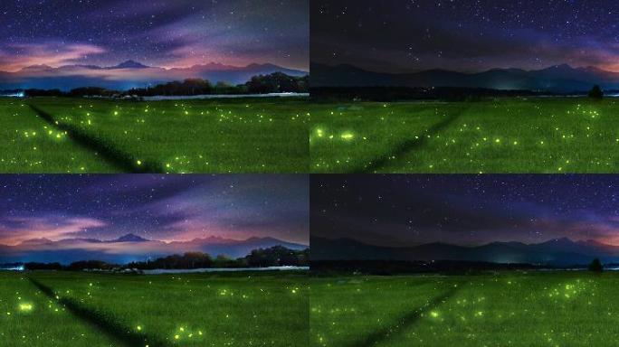 田野  天空  稻谷  星空  景观