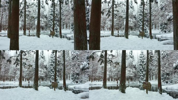 4K金华小西湖林区雪景风光
