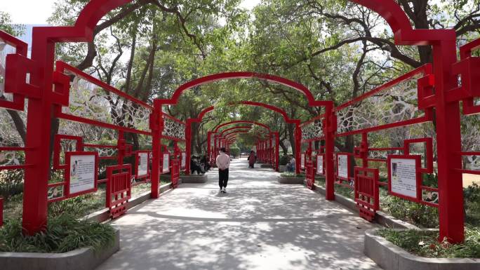 郑州人民公园中午春季延时拍摄