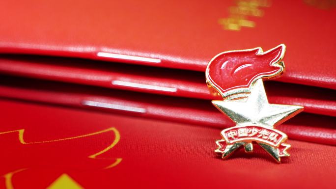 中国少年先锋队队徽和章程