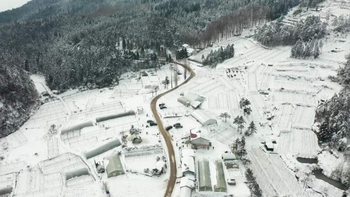 金华北山盘前村雪景风光4K航拍