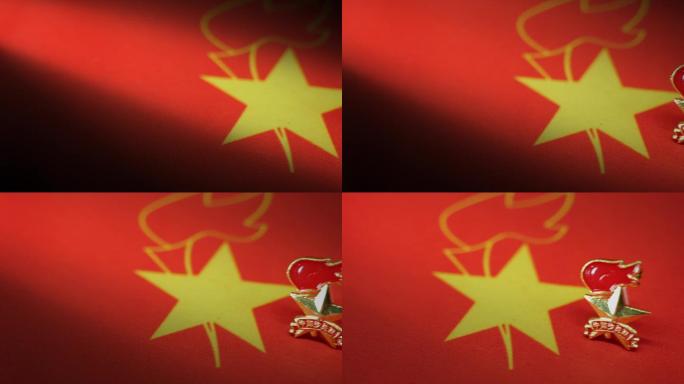 中国少年先锋队队旗和队徽