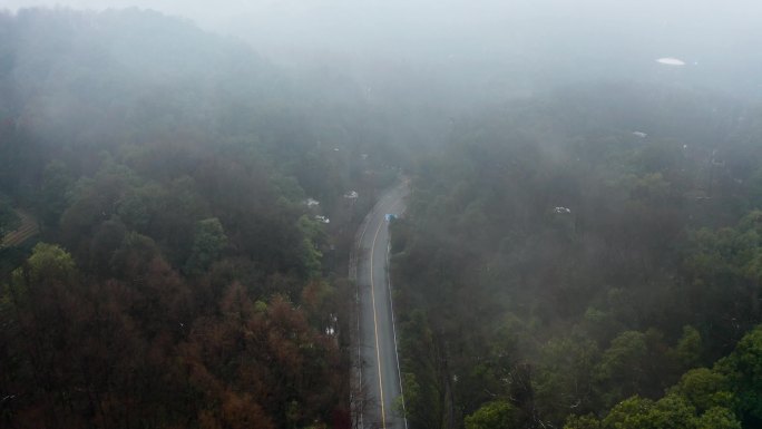 大雾中的森林大道航拍4K
