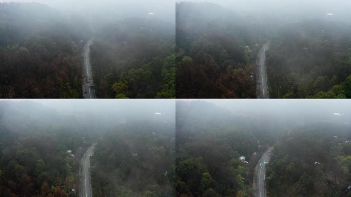 大雾中的森林大道航拍4K
