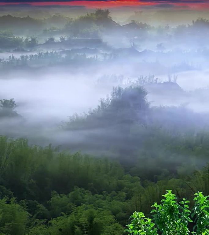 森林清晨日出朝霞 邂逅一场绝美晨雾