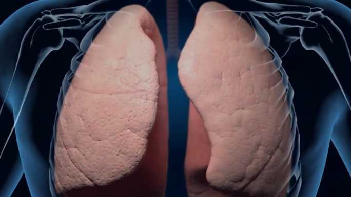 肺呼吸原理动画视频素材