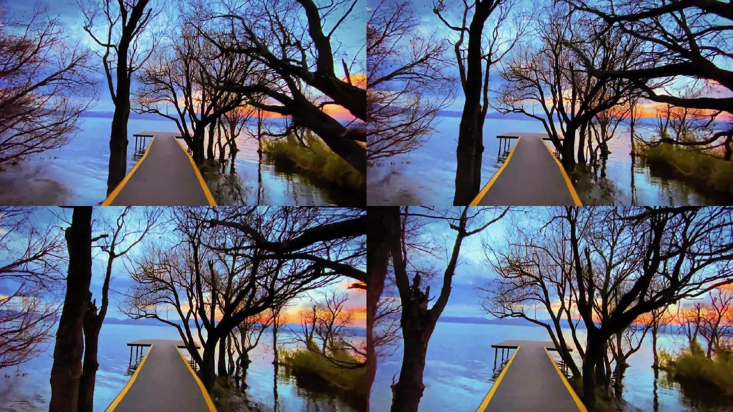 蓝天白云树木掩映湖边栈道通向湖中观景台