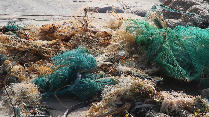 垃圾海边脏乱差海洋污染不文明行为海滩垃圾