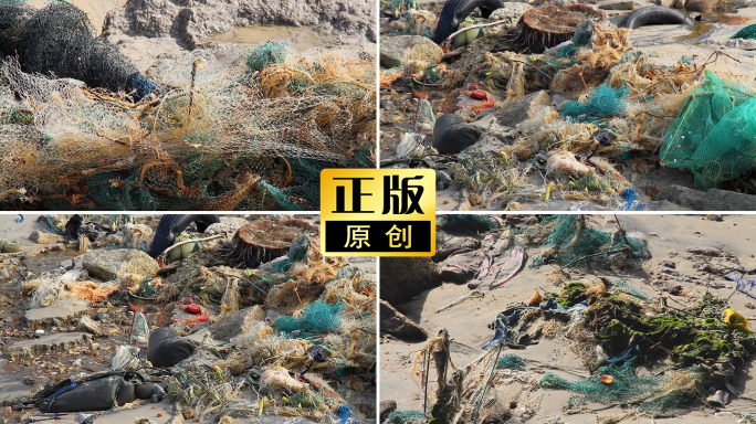 垃圾海边脏乱差海洋污染不文明行为海滩垃圾