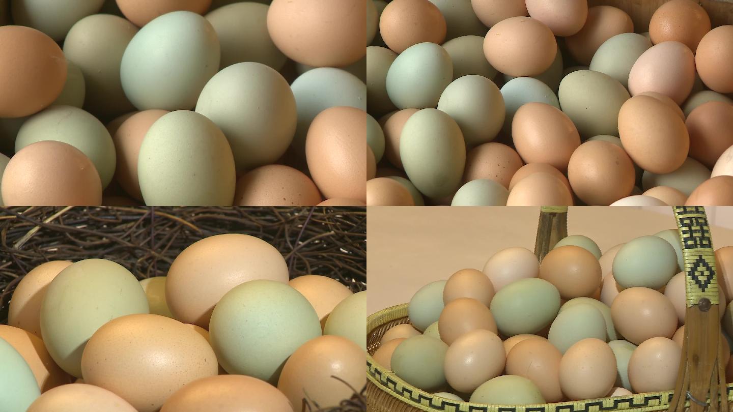 鸡蛋绿壳蛋粉壳蛋