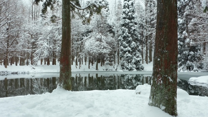金华北山森林露营基地小西湖林区雪景