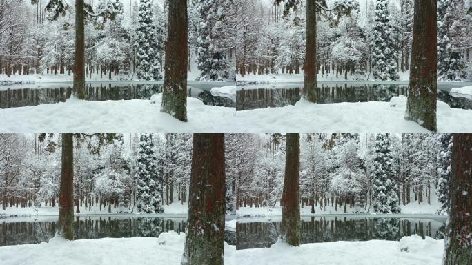 金华北山森林露营基地小西湖林区雪景