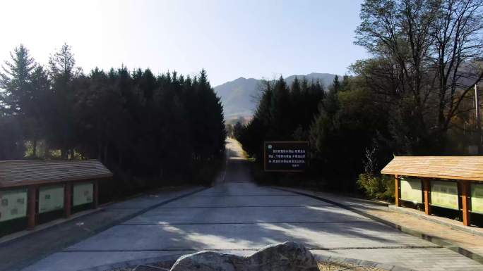 太白高山植物园航拍