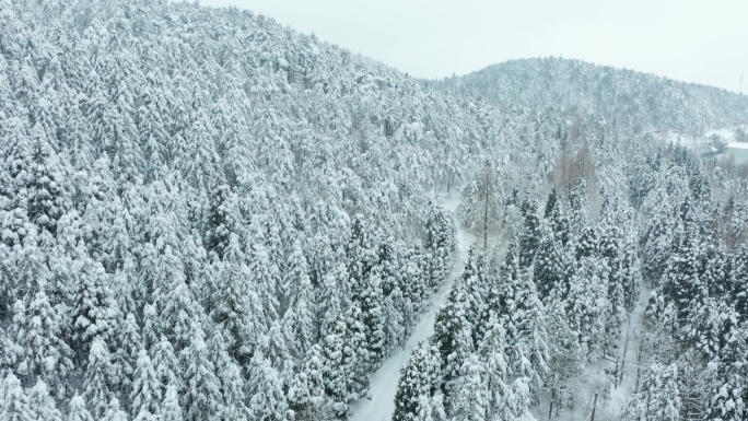 金华山北山森林雪景风光航拍