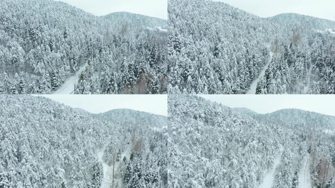 金华山北山森林雪景风光航拍