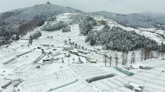 盘前村高山蔬菜基地冬季雪景风光4K航拍