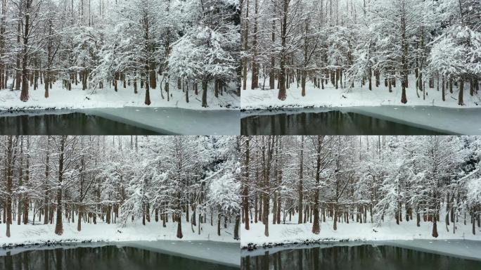 金华山森林露营基地小西胡雾凇雪景风光4K