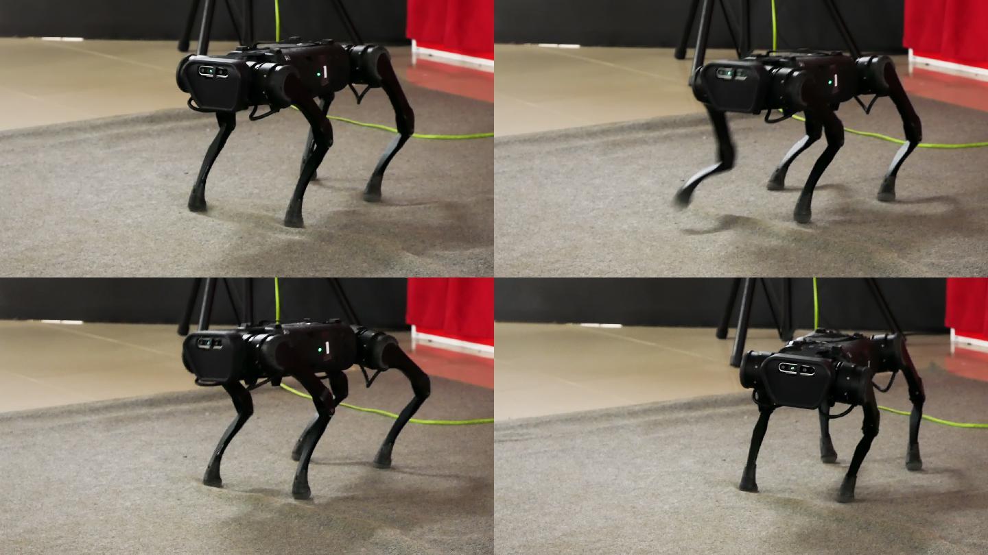 战斗机器人狗展示了它的能力