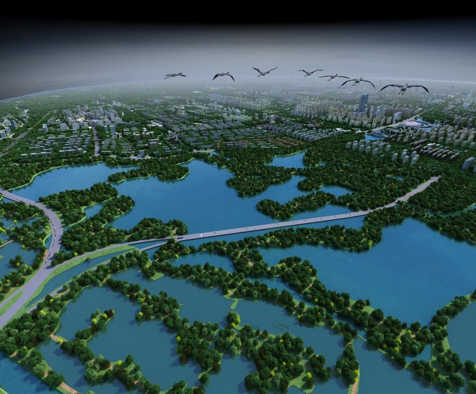 湿地公园鸟瞰三维动画