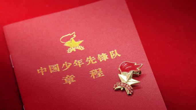 中国少年先锋队队徽和章程