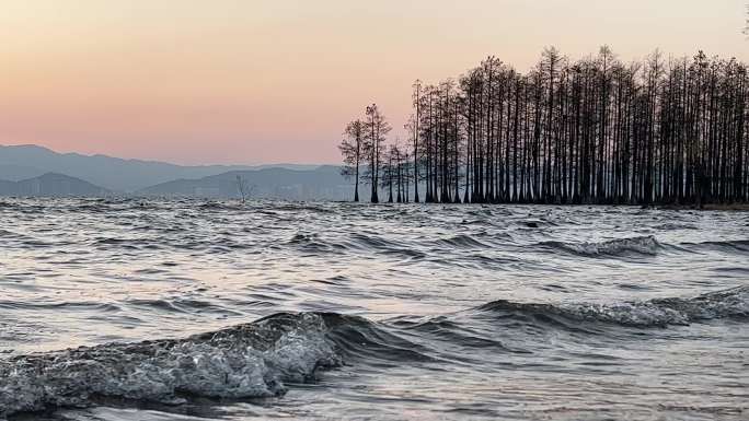 浪花唯美的自然风景