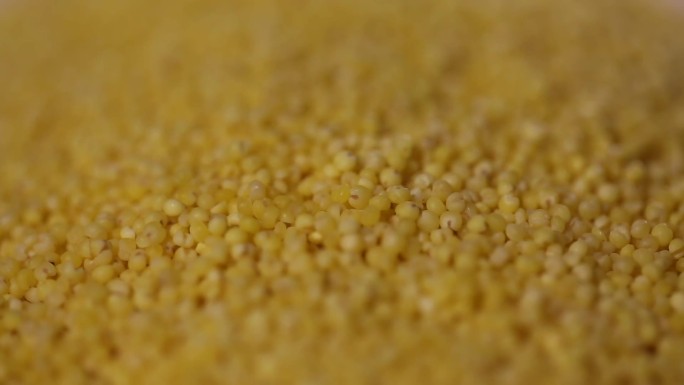 【镜头合集】粗粮养胃小米2