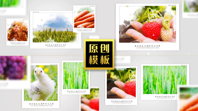 70图绿色农业图文展示农产品照片包装