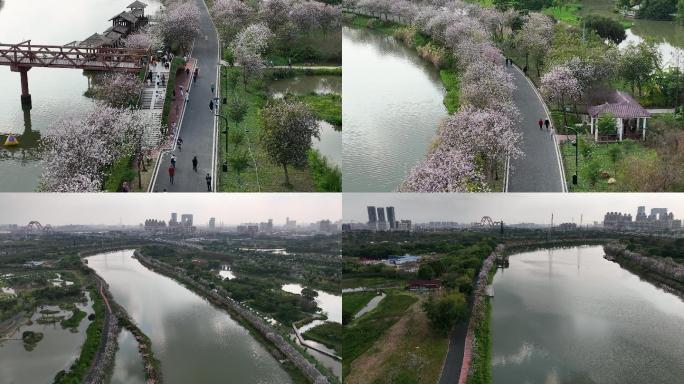广州海珠国际湿地公园（御3）
