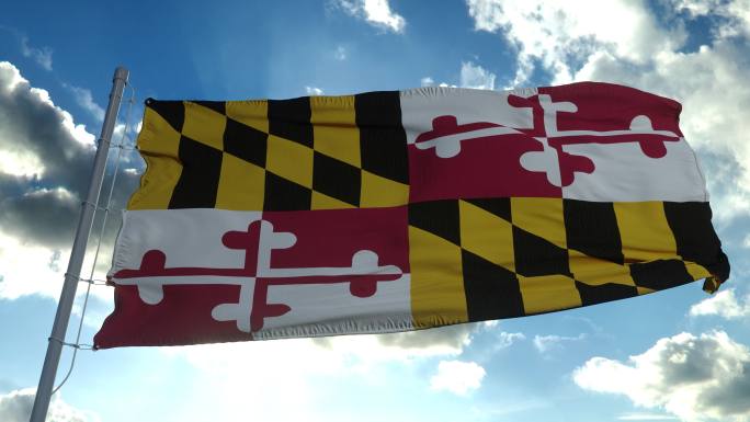 马里兰州州旗在旗杆上迎风飘扬