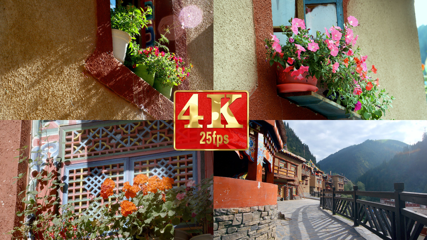 【4k】藏式民居小景窗外的花