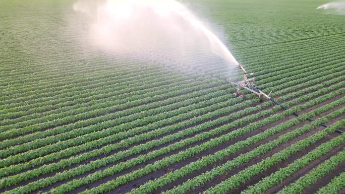 灌溉系统现代化建设高效环保有机种植
