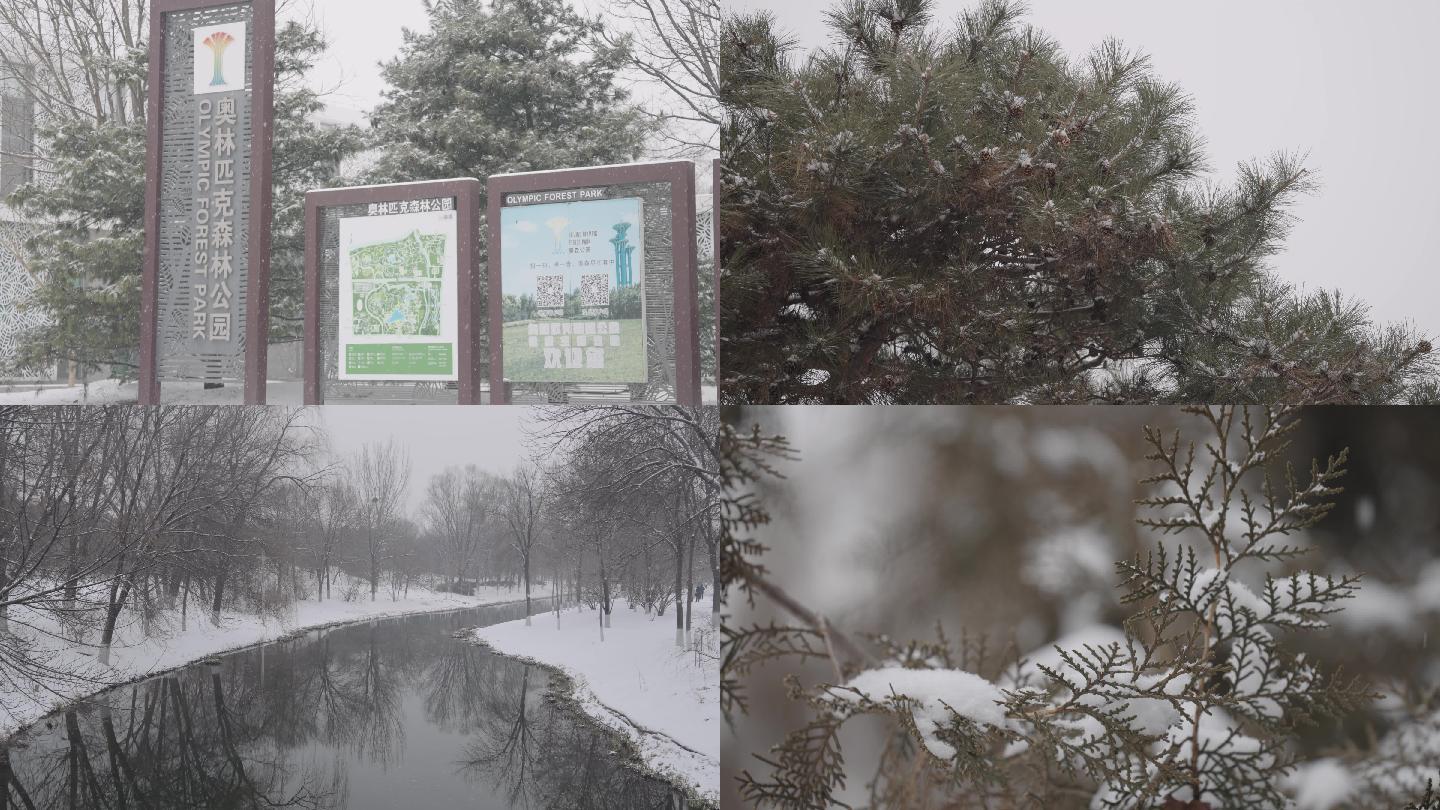 北京奥森公园雪景