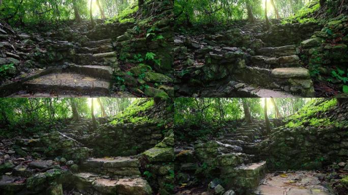 丛林中的古老石阶。