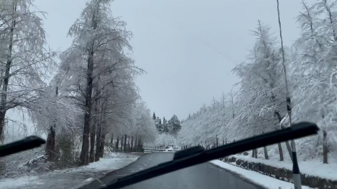 路边白茫茫的雪景