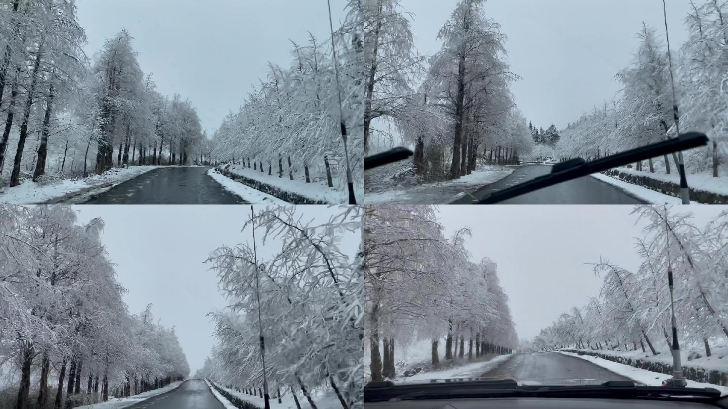 路边白茫茫的雪景