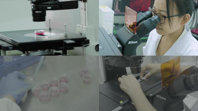 大学生实验室培育研究显微镜
