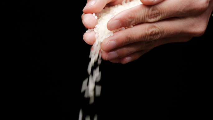 4K升格优质大米