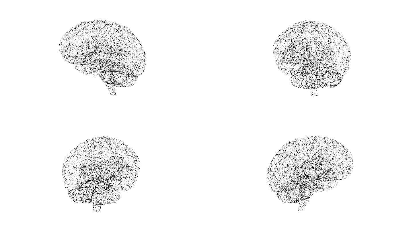 人脑动画3d。人工智能