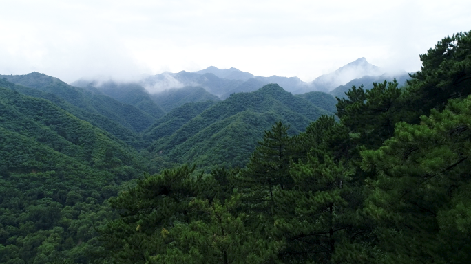 山脉云海 云雾缭绕 青山 壮丽山河