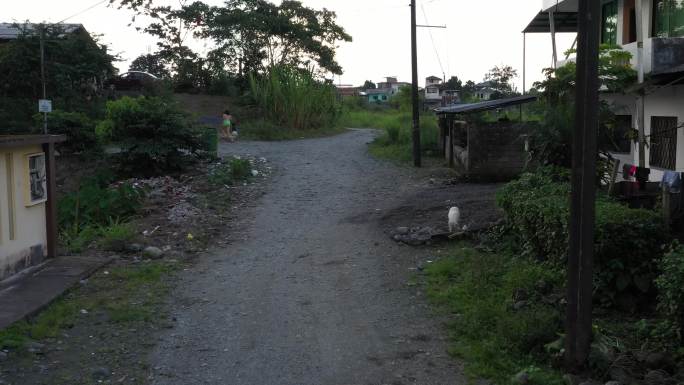 沿着南美洲一个小社区的一条土路走