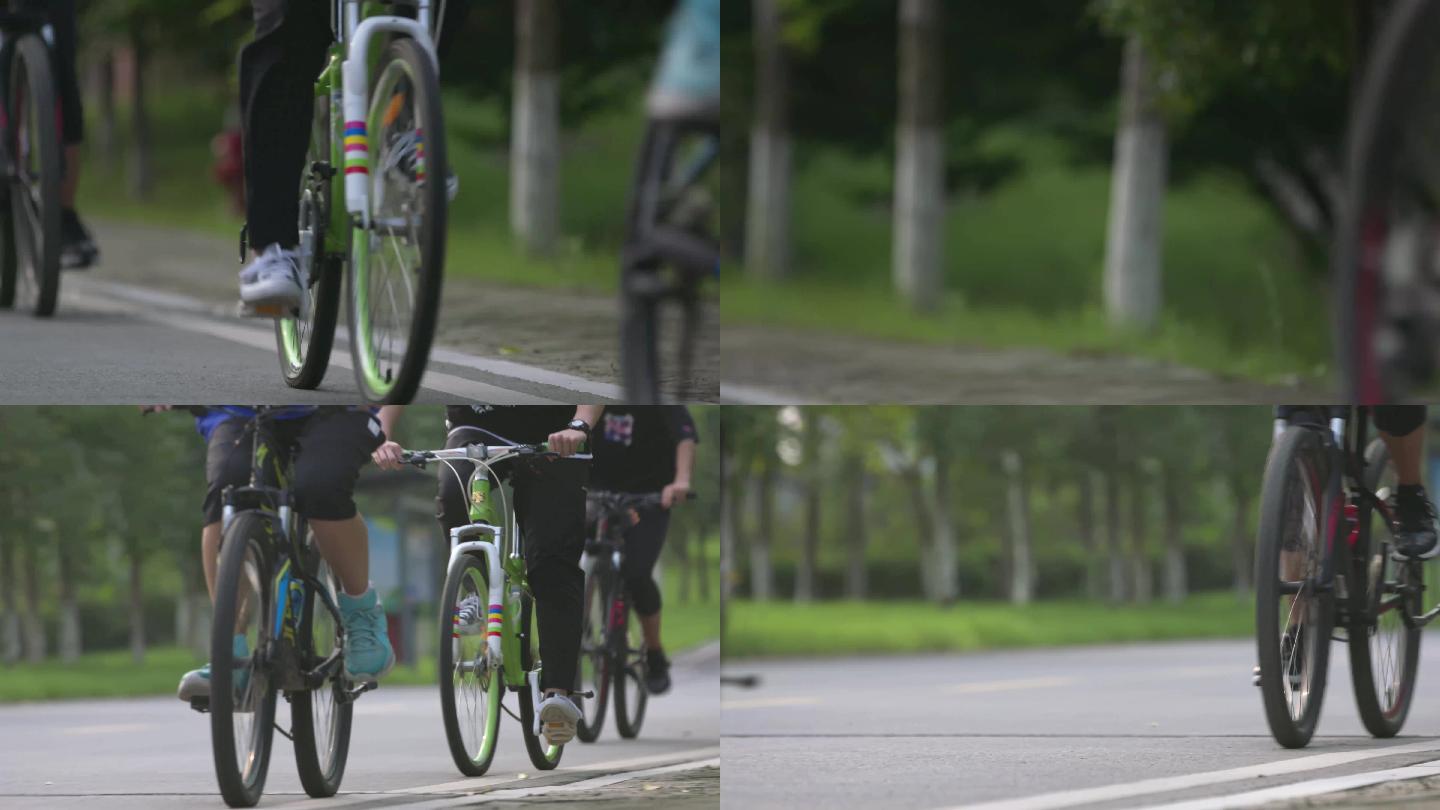 【4K50】骑自行车