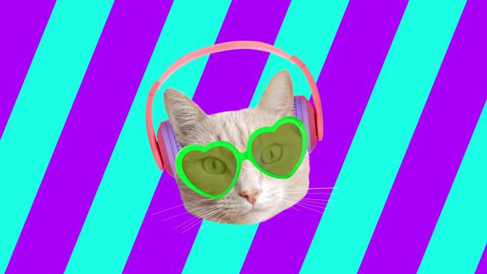 一只猫在音乐和动画中摇头