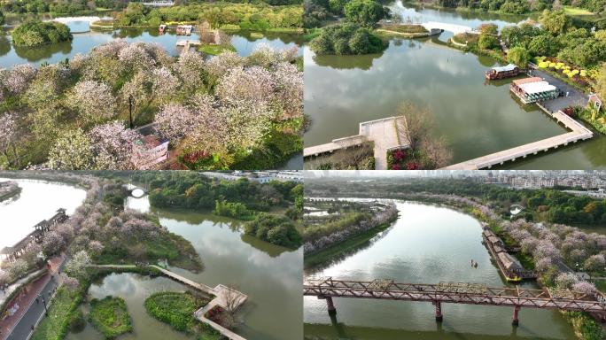 广州海珠国家湿地公园全貌